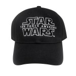 SWTFA Cap 1