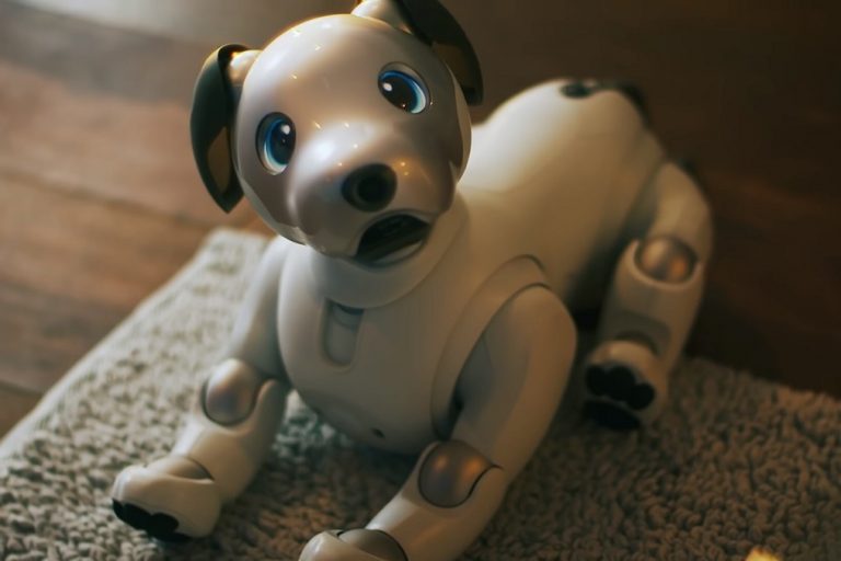 $3000 robot dog