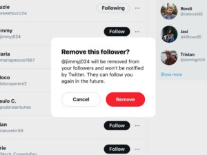 Twitter soft block remove followers