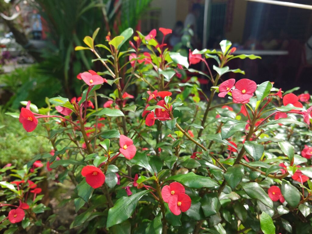 Sony Xperia Pro I Sample Image 18