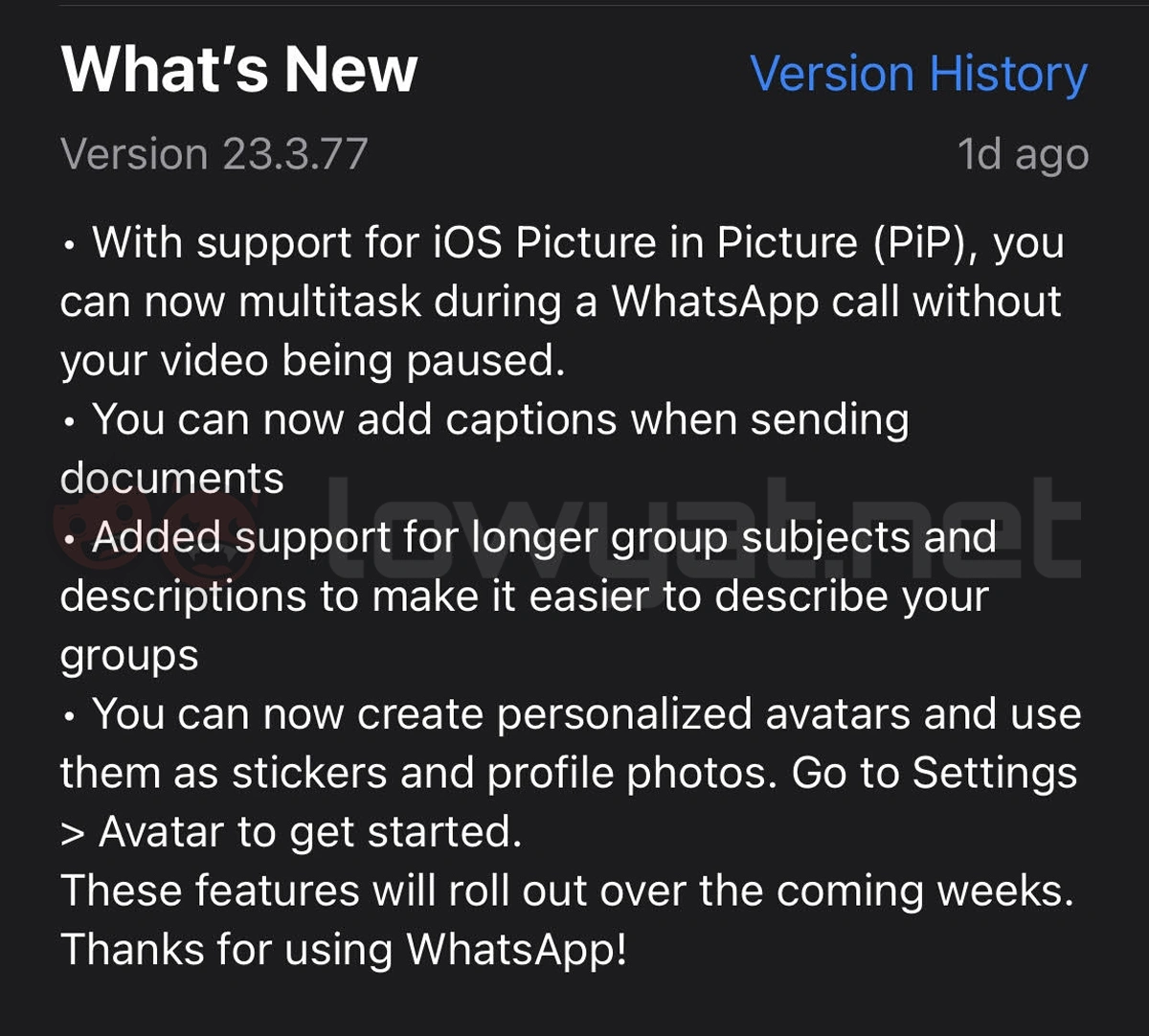 WhatsApp On IOS Finally Gets Picture In Picture Mode For Video Calls - 43