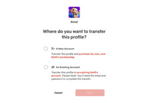 netflix profile transfer