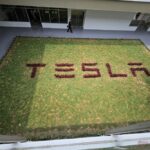 Tesla Centre Cyberjaya lawn