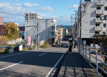 japanese city security guards curb selfies