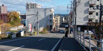 japanese city security guards curb selfies