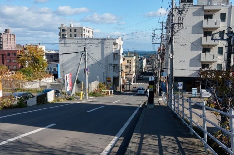 japanese city security guards curb selfies