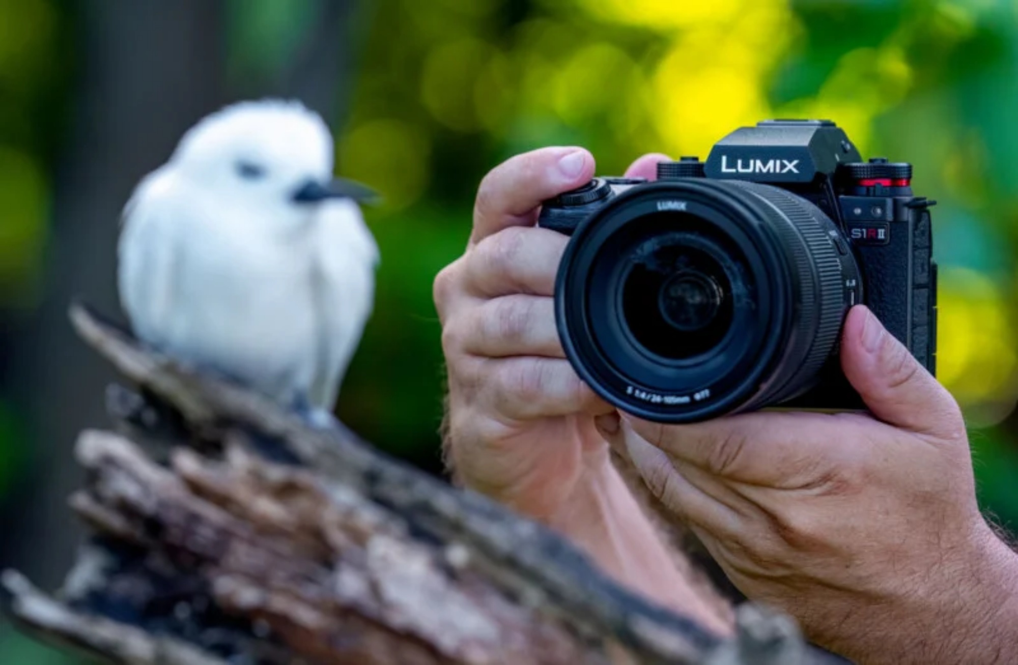 panasonic lumix s1rii